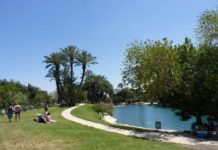 ADIR Ashkelon : journée « KEFF » à GAN HASHLOSHA dit SAHNE le 14 juillet 2015