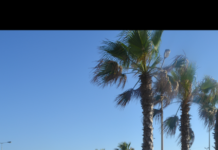 La chronique »mode » de MademoiZelle Orlane !