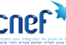 Alya : Le CNEF cet été