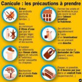 Canicule : les bons gestes à adopter !!!