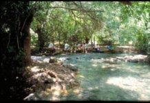 Club Kangourou, c’est des vacances de Pessah en Galilée pour la famille !