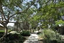 Kibbutzimer a Jérusalem : Séjour linguistique novateur et exclusif