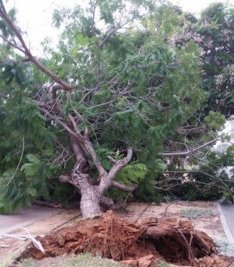 Ashdod : Pluie et vents violents, une tempête que l’on attendait pas