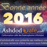 bonne année 2016