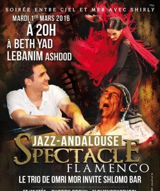 Soirée entre ciel et mer, un superbe spectacle de Jazz-Flamenco au bénéfice des soldats de Tsahal
