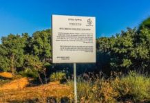 Le forum de l’environnement contre l’octroi d’un terrain de 45 hectares à l’université Sami Shamoun d’Ashdod