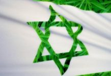 Les médecins habilités à prescrire du cannabis médical en Israël