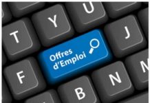 Emploi : Intégrateur de solutions d’entreprise Microsoft (CRM, outils collaboratif, BI) et prestataire de services