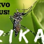 virus zika