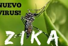 Le Virus Zika – mise à jour des recommandations et politique de la transmission active