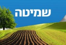 Vous avez dit chmita ? voici la liste des fruits interdits et les dates auxquelles ils pourront être de nouveau consommes