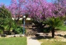 Alyah : le Centre d’intégration pour les familles « IBIM »