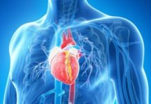 Des chercheurs de l’université de Tel Aviv inventent un patch cardiaque bionique contrôlable a distance