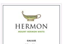 Israël – Une vitiviniculture de qualité en croissance