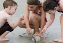 Ashdod : Avec le beau temps les méduses sont de retour