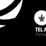 logo tel aviv universite