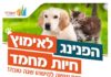 Ashdod : un événement festif organisé pour les animaux à adopter