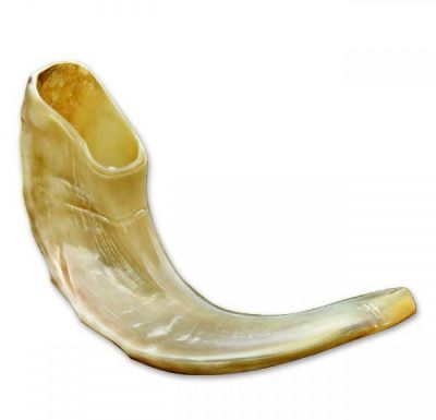le shofar, la corne du bélier !