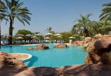 L’association Shavei Tsion vous invite à découvrir ses sorties et tiyoulim