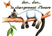 Le changement d’horaire en Israel c’est ce 29 octobre 2017