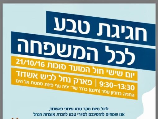 Le guide complet des activités de souccot a Ashdod et dans les environs