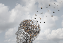 Savez-vous qu’il n’y a pas une, mais des mémoires ?