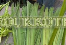 La soucca de David et la soucca en peau de Leviathan par Caroline Elisheva REBOUH