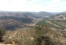 Visiter le Shomron, c’est joindre le »très utile » à l’agréable !