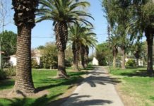 Tiyoul organisé par le service municipal des femmes : L’esprit des femmes dans le Néguev