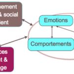 Thérapies Comportementales et Cognitives)