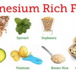 aliments-riches-en-magnesium