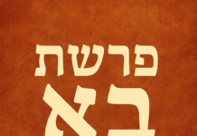 Paracha BO, de l’esclavage a la liberté