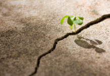 Psychologie et judaïsme, la puissance de la résilience