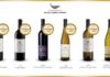 Yom Haatsmaout : Une fierté bien placée dans les vins israéliens à la conquête du monde