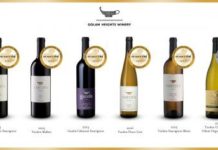 Yom Haatsmaout : Une fierté bien placée dans les vins israéliens à la conquête du monde