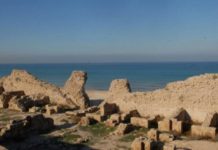 L’office du tourisme et le Musée Arié Klang vous propose des activités originales ce mois de novembre