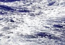 Psychologie et judaïsme : le mouvement comme expression de vie par Hanna Haddad