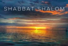 AshdodCafe et business-cafe.biz vous souhaitent «Shabbat Shalom» : dates, horaires, paracha…et prière pour nos soldats Modifier | Modification rapide | Corbeille | Afficher