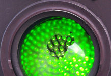 Feu vert pour les logements divisés !