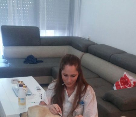 Nouveau a Ashdod : un service vétérinaire au domicile du client