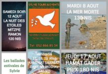 Touristes ou résidents participez aux « ballades estivales de SYLVIE TOURS & EVENTS » au départ d’Ashdod ce mois d’Août