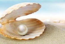 PSYCHOLOGIE ET JUDAÏSME : »Question de pudeur » par Anne Lachkar Haddad