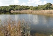 Première randonnée du Club des Francais d’Ashkelon !