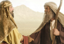 Balade découverte, mardi 19 décembre 2017 avec l’Espace Francophone !