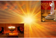 Psychologie et judaïsme : Et la lumière fut ! par Hanna Lachkar Haddad Psychologue