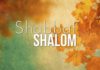AshdodCafe et business-cafe.biz vous souhaitent «Shabbat Shalom» : dates, horaires, paracha…et prière pour nos soldats
