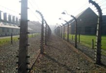 le 27 janvier est la journée de la mémoire de l’Holocauste et de la prévention des crimes contre l’humanité