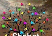 AshdodCafe et business-cafe.biz vous souhaitent «Shabbat Shalom» : dates, horaires, paracha…et prière pour nos soldats