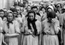 Shoah : les juifs d’Algérie éligibles à des indemnités allemandes