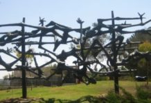 IMPORTANT : Yad Vashem, pleins feux sur le Web